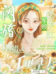 闪婚相错人，军嫂揣孕肚千里寻夫